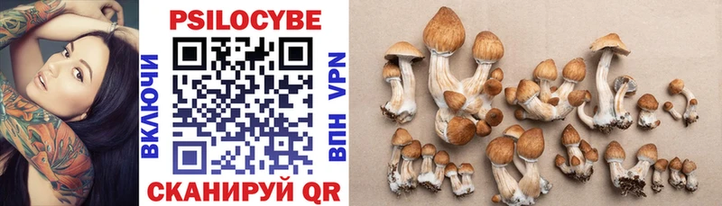 Псилоцибиновые грибы Magic Shrooms  сколько стоит  Лебедянь 